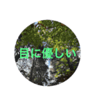 そらもよう☁️（個別スタンプ：13）