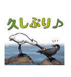 ことりのしごと（個別スタンプ：4）