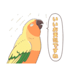 いろいろなインコたち（個別スタンプ：5）