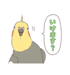 いろいろなインコたち（個別スタンプ：7）