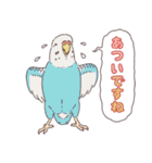 いろいろなインコたち（個別スタンプ：20）