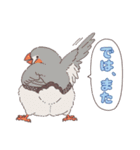 いろいろなインコたち（個別スタンプ：31）