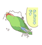 いろいろなインコたち（個別スタンプ：34）