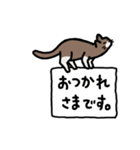 動く！猫くん「毎日ニャーニャー使えます」（個別スタンプ：7）