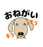 大きな文字 優しい気づかい ダックスフンド（個別スタンプ：9）