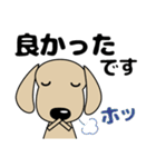 大きな文字 優しい気づかい ダックスフンド（個別スタンプ：34）