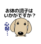 大きな文字 優しい気づかい ダックスフンド（個別スタンプ：36）