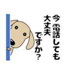 大きな文字 優しい気づかい ダックスフンド（個別スタンプ：40）