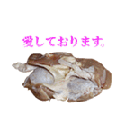 敬語鶏もも肉（個別スタンプ：29）