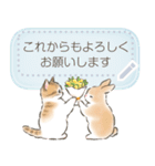 ふんわり☆猫たちのメッセージスタンプ（個別スタンプ：6）