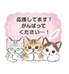 ふんわり☆猫たちのメッセージスタンプ（個別スタンプ：15）