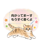 ふんわり☆猫たちのメッセージスタンプ（個別スタンプ：19）