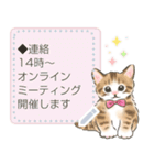 ふんわり☆猫たちのメッセージスタンプ（個別スタンプ：20）