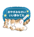 ふんわり☆猫たちのメッセージスタンプ（個別スタンプ：23）