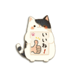 毎日使える♡ねこ付箋（個別スタンプ：17）