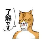 どうぶつが大好き01_pal_ver3敬語（個別スタンプ：8）