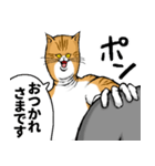 どうぶつが大好き01_pal_ver3敬語（個別スタンプ：11）