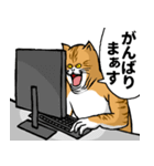 どうぶつが大好き01_pal_ver3敬語（個別スタンプ：12）