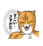 どうぶつが大好き01_pal_ver3敬語（個別スタンプ：19）