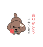 犬スタンプ＃3 トイプードル（個別スタンプ：5）