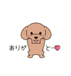 犬スタンプ＃3 トイプードル（個別スタンプ：6）