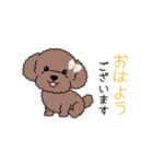 犬スタンプ＃3 トイプードル（個別スタンプ：8）