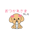 犬スタンプ＃3 トイプードル（個別スタンプ：10）