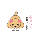 犬スタンプ＃3 トイプードル（個別スタンプ：13）