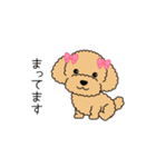 犬スタンプ＃3 トイプードル（個別スタンプ：22）