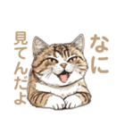 強面で生意気な猫（日常使い）（個別スタンプ：1）