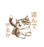 強面で生意気な猫（日常使い）（個別スタンプ：3）