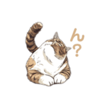 強面で生意気な猫（日常使い）（個別スタンプ：4）