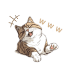 強面で生意気な猫（日常使い）（個別スタンプ：5）