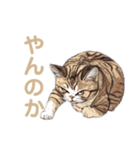 強面で生意気な猫（日常使い）（個別スタンプ：7）