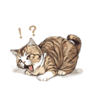 強面で生意気な猫（日常使い）（個別スタンプ：8）
