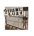 りーうー♡♡（個別スタンプ：26）