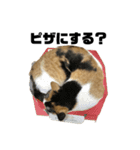 ろろみみちゃちゃ（個別スタンプ：3）