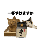 ろろみみちゃちゃ（個別スタンプ：6）