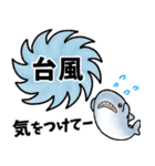 生活感のあるサメ14〜秋＆待ち合わせ〜（個別スタンプ：10）