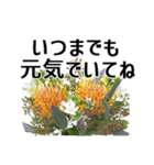 敬老の日に花を♪Part3（個別スタンプ：6）