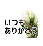 敬老の日に花を♪Part3（個別スタンプ：15）