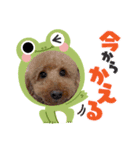 モコくんスタンプ3（個別スタンプ：1）