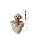 リノくんスタンプU・x・U（個別スタンプ：2）