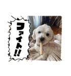 なおちゃんの毎日（個別スタンプ：2）