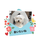なおちゃんの毎日（個別スタンプ：4）