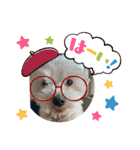 なおちゃんの毎日（個別スタンプ：8）