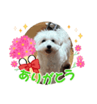 なおちゃんの毎日（個別スタンプ：9）