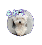 なおちゃんの毎日（個別スタンプ：13）