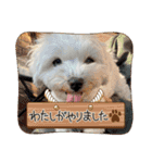 なおちゃんの毎日（個別スタンプ：14）