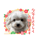 なおちゃんの毎日（個別スタンプ：15）